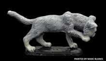 Load image into Gallery viewer, 48-0891:  Giant Kitten, Tracking
