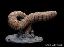 Load image into Gallery viewer, 48-0995:  Rock Worm, Shorter
