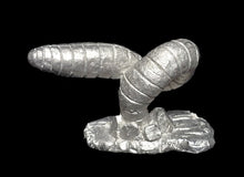Load image into Gallery viewer, 48-0995:  Rock Worm, Shorter
