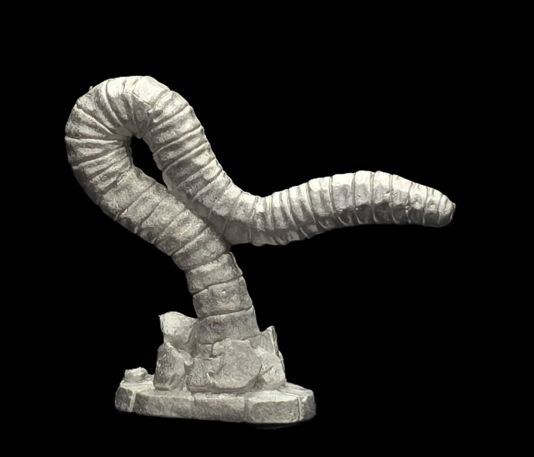48-0996:  Rock Worm, Longer