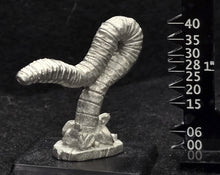 Load image into Gallery viewer, 48-0996:  Rock Worm, Longer
