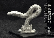 Load image into Gallery viewer, 48-0996:  Rock Worm, Longer
