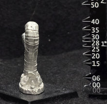 Load image into Gallery viewer, 48-0996:  Rock Worm, Longer
