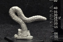Load image into Gallery viewer, 48-0996:  Rock Worm, Longer
