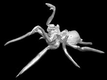 Load image into Gallery viewer, 49-0070:  Spider Mutant
