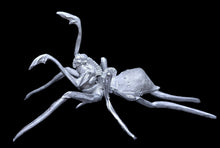 Load image into Gallery viewer, 49-0070:  Spider Mutant
