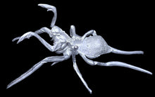 Load image into Gallery viewer, 49-0070:  Spider Mutant
