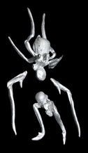 Load image into Gallery viewer, 49-0070:  Spider Mutant
