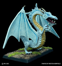 Load image into Gallery viewer, 49-0115:  Greater White Dragon
