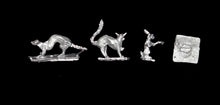 Load image into Gallery viewer, 49-0501:  Animal Familiars [x4]
