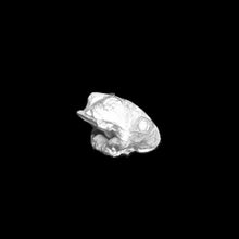 Load image into Gallery viewer, 49-0525:  Familiars - Frogs [x4]
