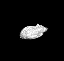 Load image into Gallery viewer, 49-0526:  Familiars - Rodents [x4]
