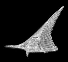 Load image into Gallery viewer, 49-0672:  Winged Chariot
