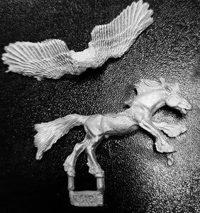 48-0805:  Pegasus, Flying