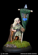 Load image into Gallery viewer, 49-0809:  Sentinel - Wood Elf Standard Bearer
