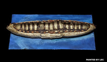 Load image into Gallery viewer, 49-6582:  Canoe, Large
