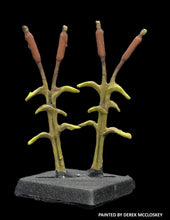 Load image into Gallery viewer, 49-8101: Reeds

