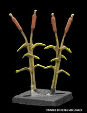 Load image into Gallery viewer, 49-8101: Reeds
