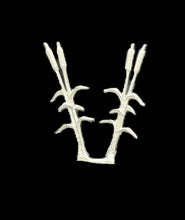 Load image into Gallery viewer, 49-8101: Reeds
