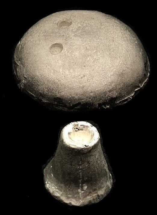 49-8409:  Giant Mushroom