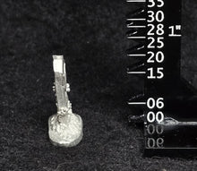 Load image into Gallery viewer, 49-9577:  Monolith with Overgrowth
