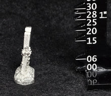 Load image into Gallery viewer, 49-9577:  Monolith with Overgrowth
