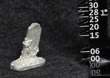 Load image into Gallery viewer, 49-9577:  Monolith with Overgrowth
