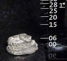 Load image into Gallery viewer, 49-9668:  Large Skull
