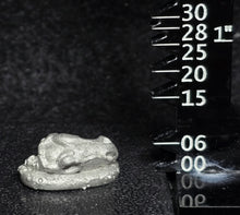 Load image into Gallery viewer, 49-9668:  Large Skull
