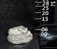 Load image into Gallery viewer, 49-9668:  Large Skull
