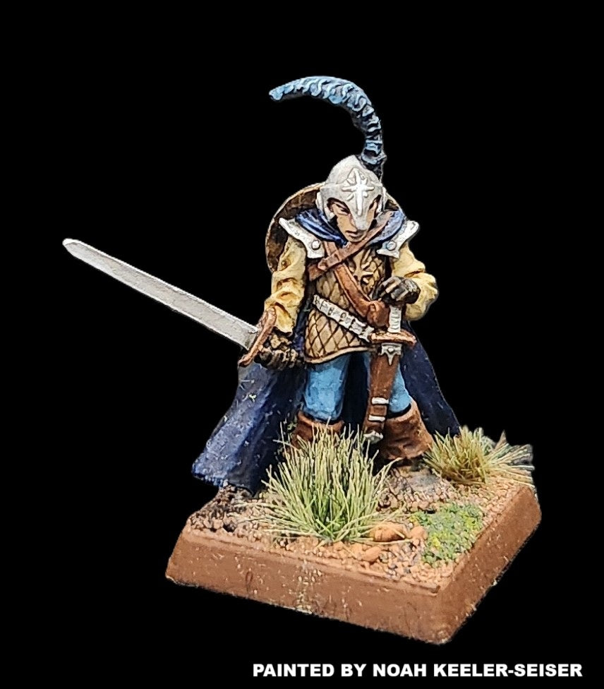 50-0018: Elite Armored Elf, with Sword and Shield