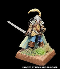 Load image into Gallery viewer, 50-0018: Elite Armored Elf, with Sword and Shield
