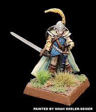 Load image into Gallery viewer, 50-0018: Elite Armored Elf, with Sword and Shield
