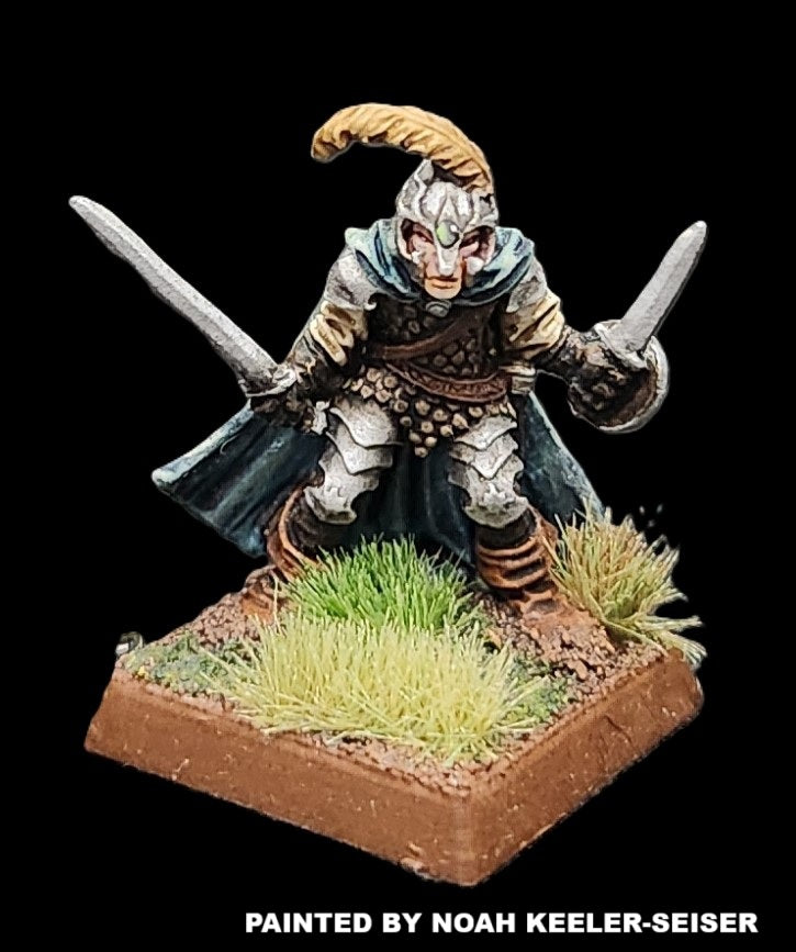 50-0019: Elite Armored Elf, with Two Swords
