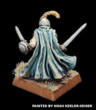 Load image into Gallery viewer, 50-0019: Elite Armored Elf, with Two Swords
