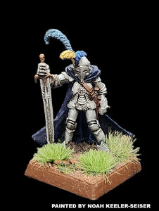 50-0020: Elite Armored Elf, with Greatsword