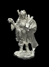 Load image into Gallery viewer, 50-0027:  Elf Spearman, In Reserve, Helmet Removed
