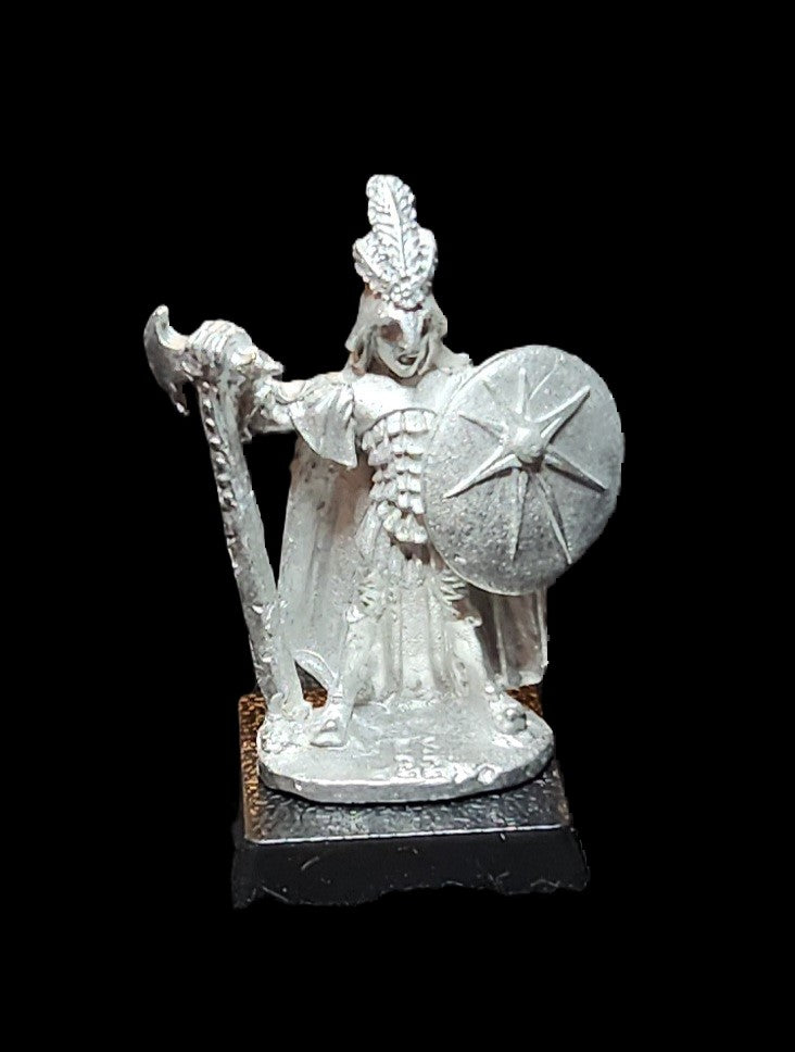 50-0042: Elf Champion with Axe and Shield