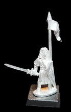 Load image into Gallery viewer, 50-0043:  Elf Standard Bearer with Sword
