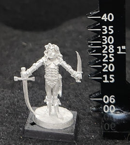 50-0063:  Elf Warlord with Sword and Dagger