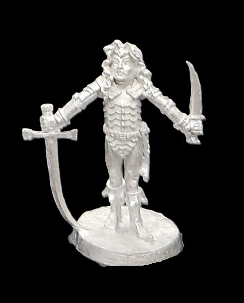 50-0063:  Elf Warlord with Sword and Dagger