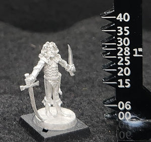 50-0063:  Elf Warlord with Sword and Dagger