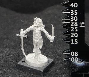 50-0063:  Elf Warlord with Sword and Dagger