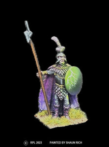 50-0099:  Elf Warlord with Spear and Shield
