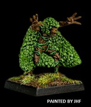 Load image into Gallery viewer, 50-0292:  Dryad Mage
