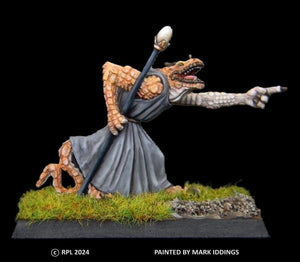 50-0491:  Troglodyte Sorcerer