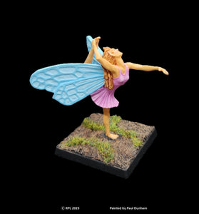 50-0544:  Greater Fairy Dancing