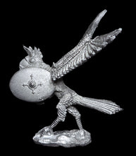Load image into Gallery viewer, 50-0742:  Skrack, Birdman with Hand Weapon and Shield
