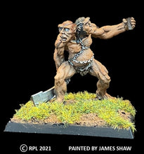 Load image into Gallery viewer, 50-0851:  Two-Headed Ogre Hero

