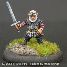 Load image into Gallery viewer, 50-2951:  Gnome Adventurer Swordsman
